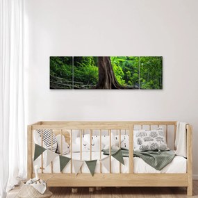 Obraz - Stare drzewo z korzeniami (170x50 cm)
