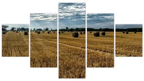 Obraz zebranego pola zboża (125x70 cm)