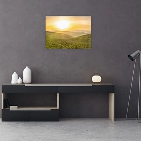 Obraz panoramiczny (70x50 cm)