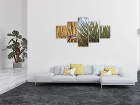 Obraz - Strzyżyk (125x70 cm)