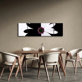 Obraz czarno - białego kwiatu (170x50 cm)