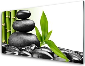 Panel Kuchenny Harmonia Natury: Kamienie I Liście