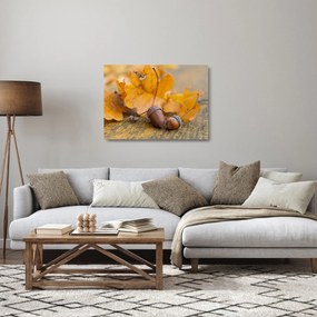 Obraz na szkle - Jesienne żołędzie (70x50 cm)
