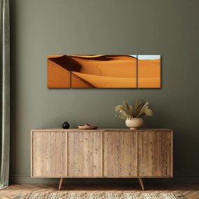 Obraz - Ślady na pustyni (170x50 cm)
