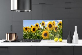 Panel Szklany Złoty Słonecznik w Słońcu