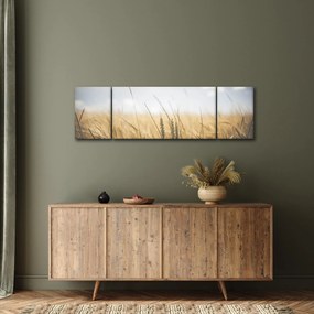 Obraz ziarna (170x50 cm)