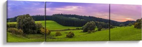 Obraz łąki (170x50 cm)