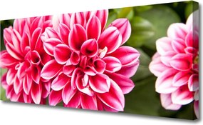 Obraz canvas Wyrafinowana Flora Ścienna