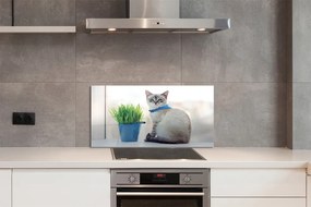 Panel szklany do Kuchni Dostojny Siedzący Kot