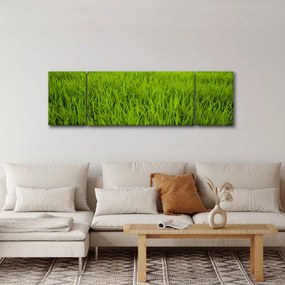 Obraz trawy (170x50 cm)