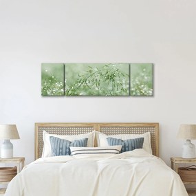 Obraz - Rosa na trawie (170x50 cm)