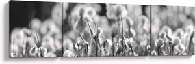 Obraz - Letnia łąka (170x50 cm)