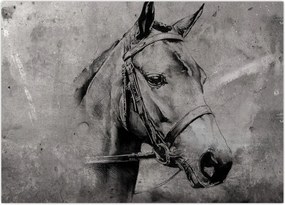 Obraz na szkle - Portret konia (70x50 cm)