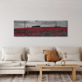 Obraz maków (170x50 cm)