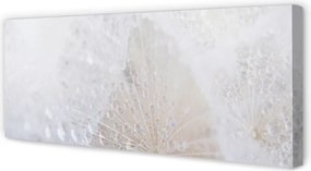 Fotoobraz na płótnie Abstrakcyjny Motyw Dmuchawca