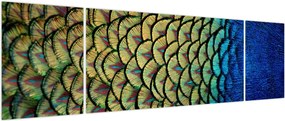Obraz - Pawie pióra (170x50 cm)