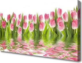 Obraz canvas na ścianę Pąki Tulipanów w Ogrodzie