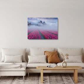 Obraz na szkle - Krajobraz z polami tulipanów (70x50 cm)