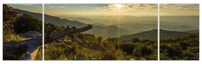 Obraz - Widok na otoczenie (170x50 cm)