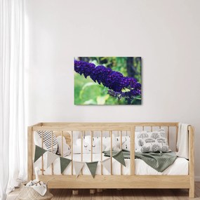 Obraz niebieskiego kwiatu (70x50 cm)
