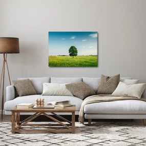 Obraz drzewa na środku łąki (70x50 cm)