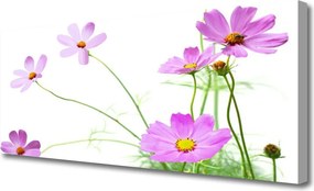 Obraz na płótnie Delikatność Polnych Roślin