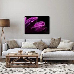 Obraz  - Kropla wody (70x50 cm)