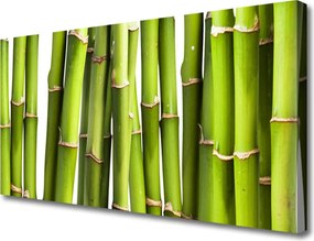 Obraz canvas Świeże Pędy Zielonego Bambusa