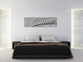 Obraz - Pszenica, czarno - biały (170x50 cm)