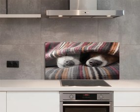 Panel Kuchenny Szklany Słodki Sen Zmęczonych Psów