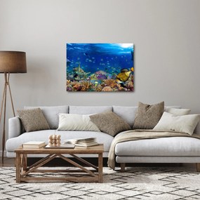 Obraz - Ocean (70x50 cm)