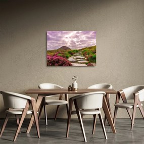 Obraz na szkle krajobrazu (70x50 cm)