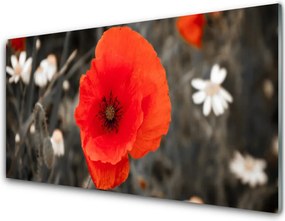 Panel Kuchenny Harmonijna Roślinność Kwiatowa