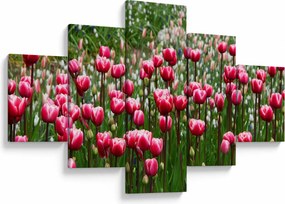 Obraz tulipanów (125x70 cm)