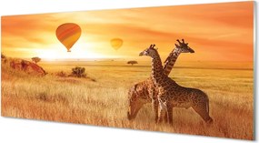 Panel szklany do Kuchni Żyrafy i Balony na Niebie