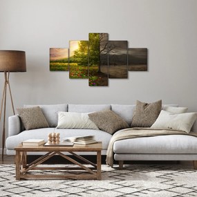 Obraz - Cykl życia (125x70 cm)