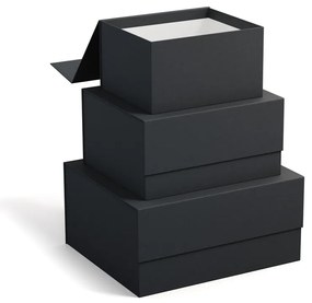 Kartonowe pojemniki z pokrywką zestaw 3 szt. Ilse – Bigso Box of Sweden