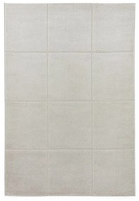 Jasnoszary dywan 120x170 cm Elio Silver – Think Rugs