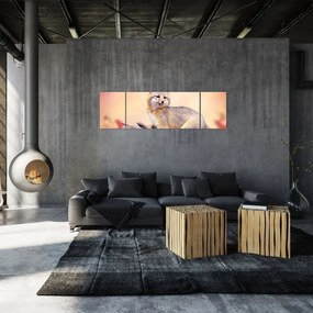 Obraz - Lis (170x50 cm)