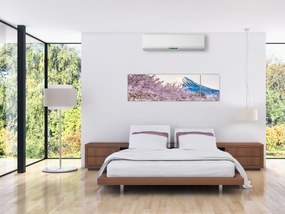Obraz - Japonia wiosną (170x50 cm)