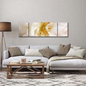 Obraz - Kwiat (170x50 cm)