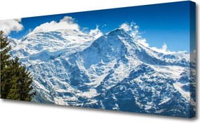 Obraz canvas na ścianę Górski Pejzaż z Drzewami