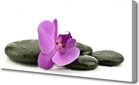 Obraz canvas Królewska Orchidea w Detalu