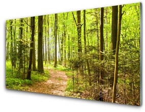 Panel Kuchenny Las Ścieżka Natura