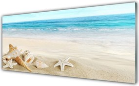 Panel nad blat kuchenny Nadmorskie Skarby Oceanu