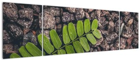 Obraz zielonej rośliny (170x50 cm)