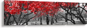 Obraz - Czerwone drzewa, Central Park, New York (170x50 cm)