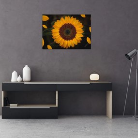 Obraz na szkle  - Słonecznik i płatki kwiatów (70x50 cm)