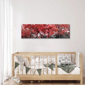 Obraz - Czerwone drzewa, Central Park, New York (170x50 cm)