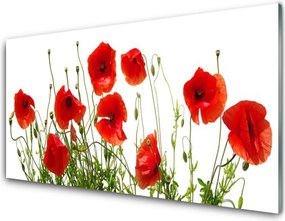 Panel nad blat kuchenny Polne Maki w Rozkwicie